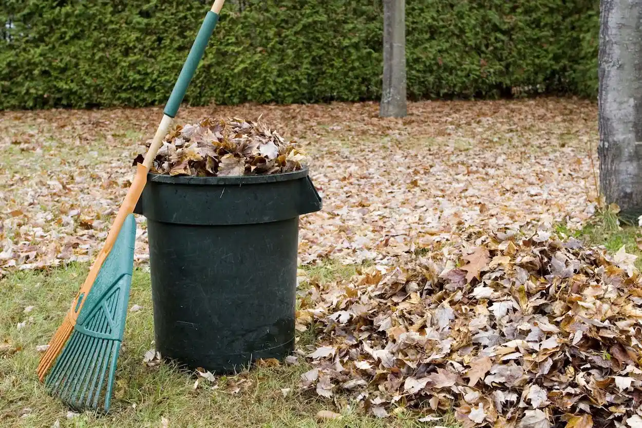 Yard Waste Removal